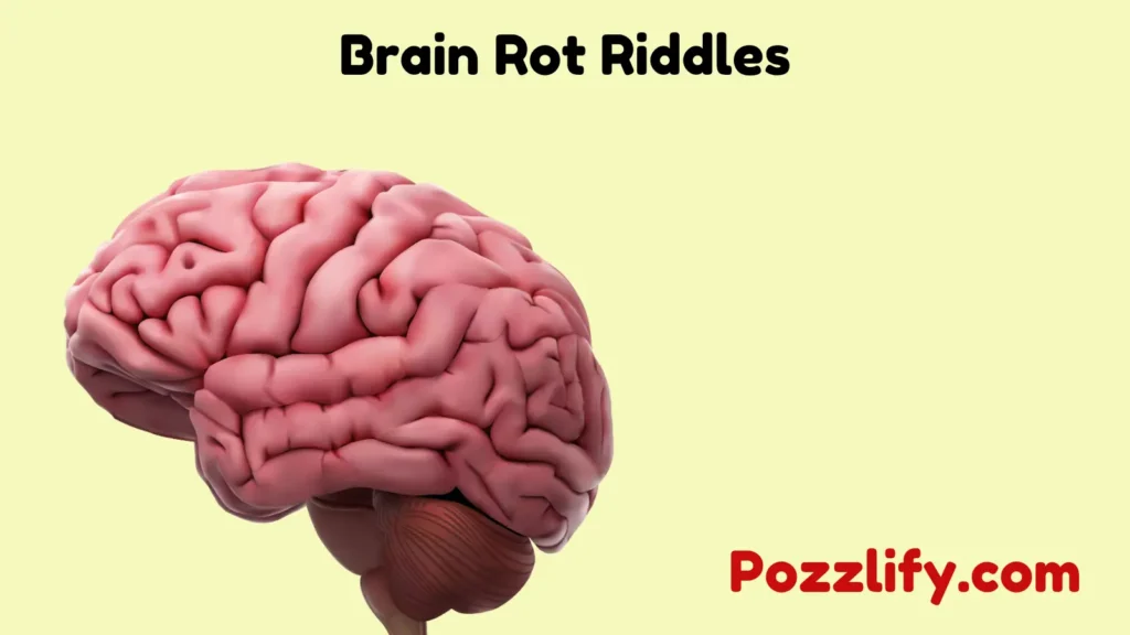 Brain Rot Riddles