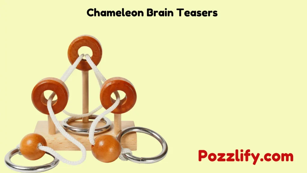 Chameleon Brain Teasers