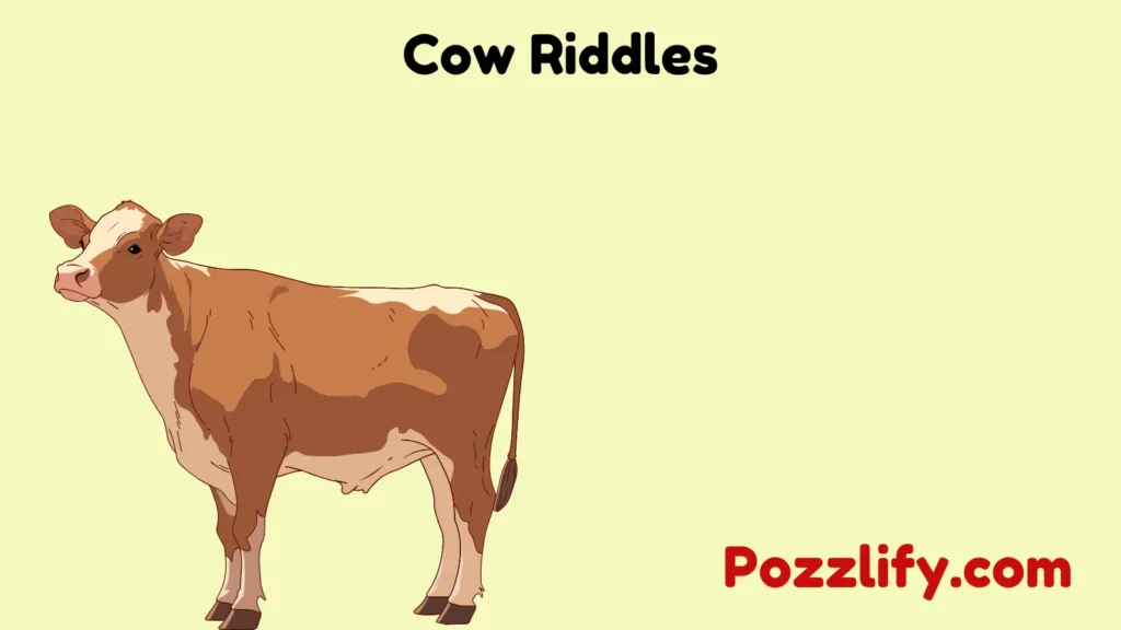 Cow Riddles