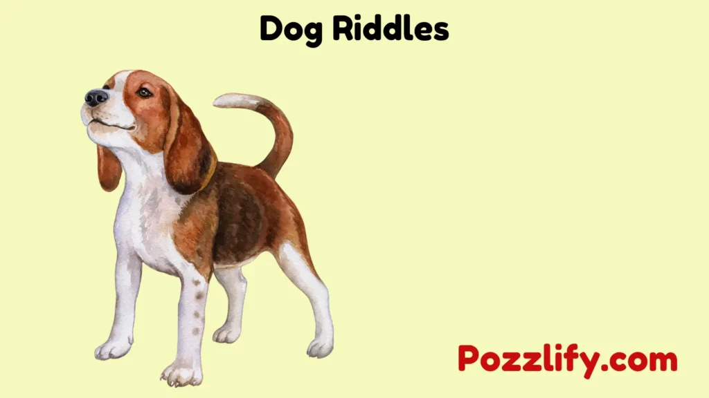 Dog Riddles