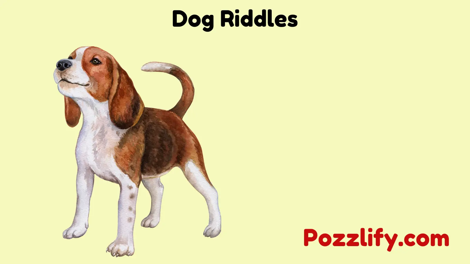 Dog Riddles