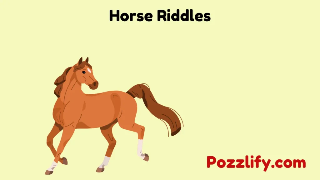 Horse Riddles