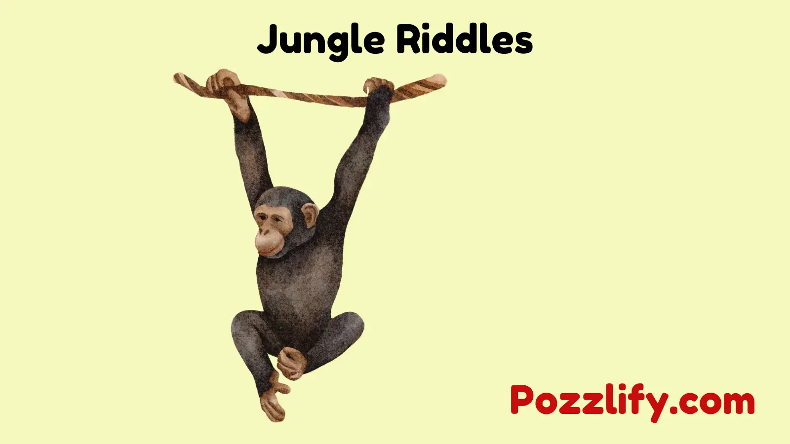 Jungle Riddles