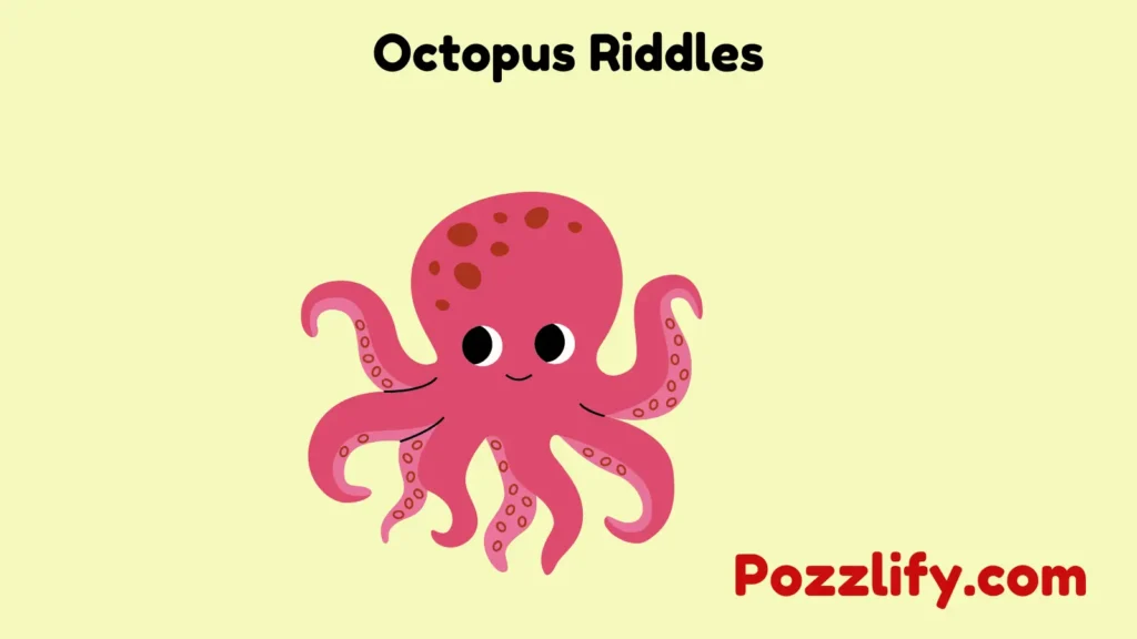 Octopus Riddles