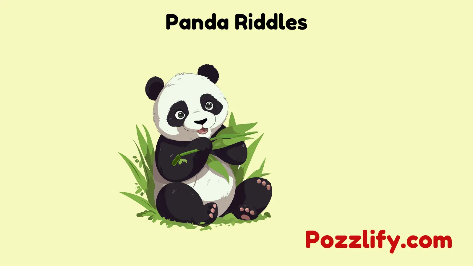 Panda Riddles