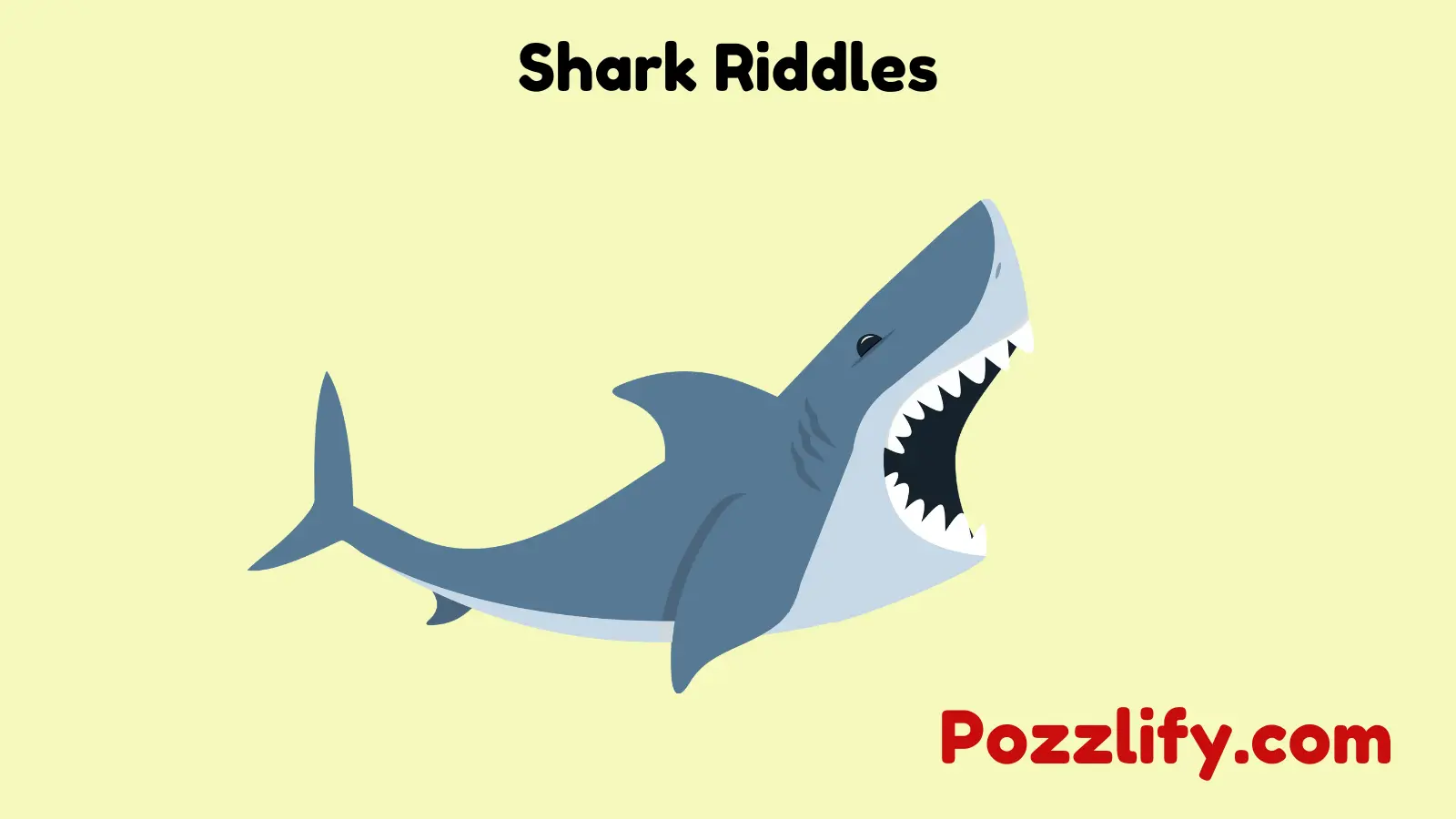 Shark Riddles