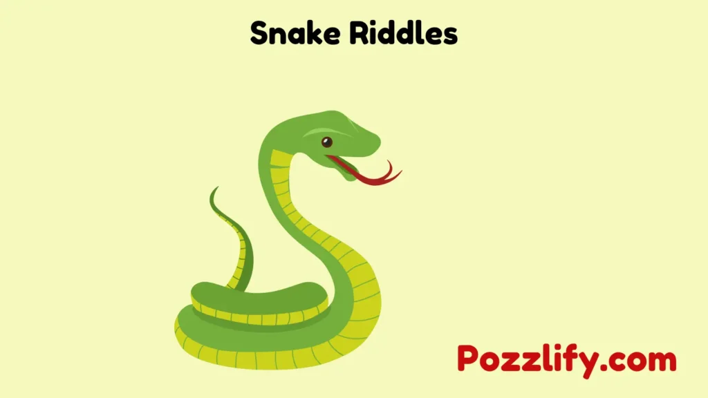 Snake Riddles