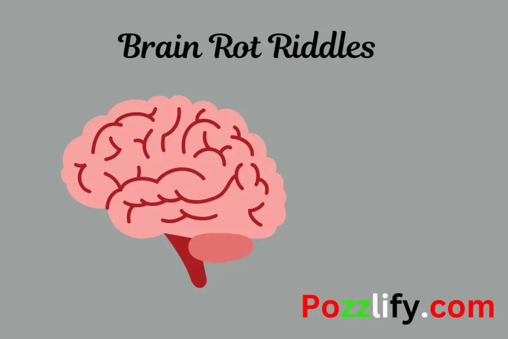 Brain Rot Riddles