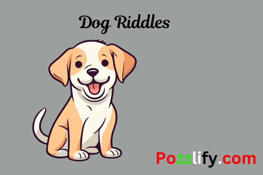 Dog Riddles 