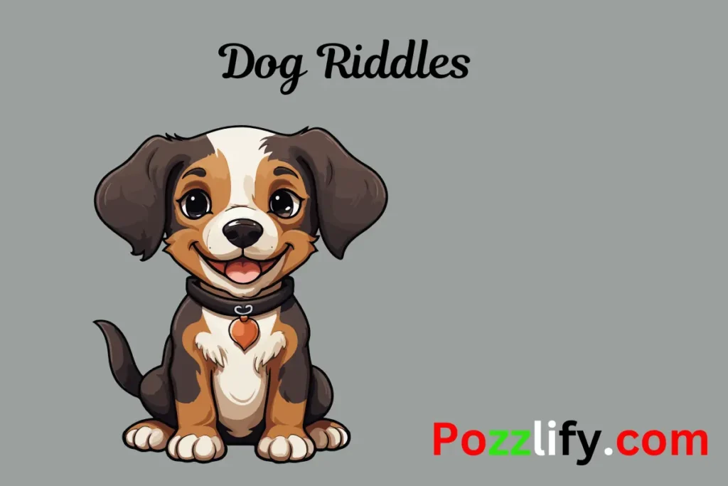 Dog Riddles 