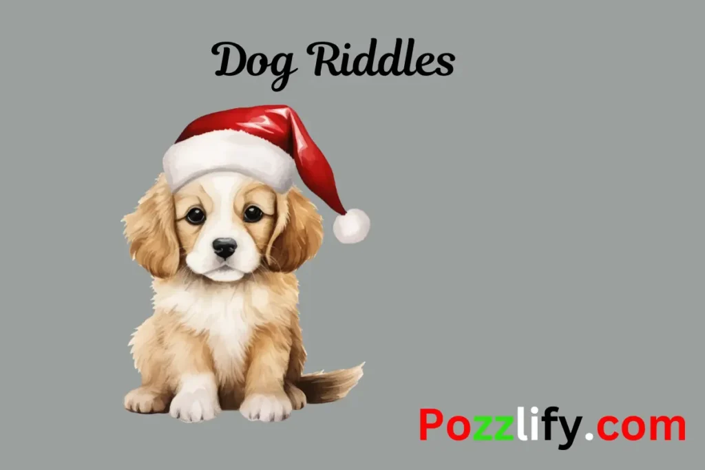 Dog Riddles 