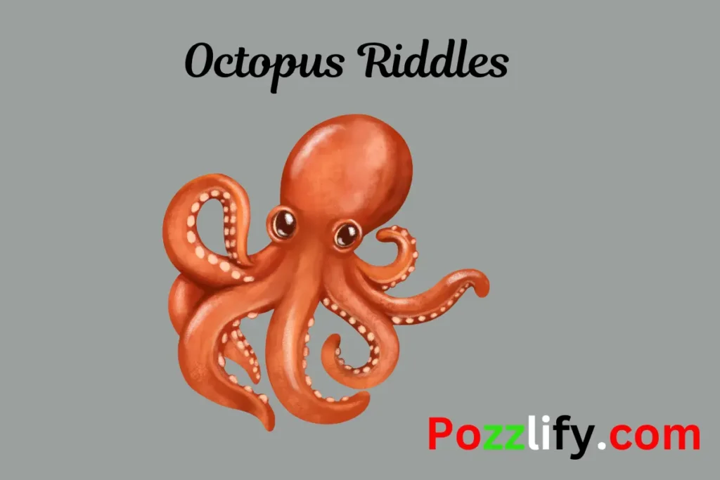 Octopus Riddles