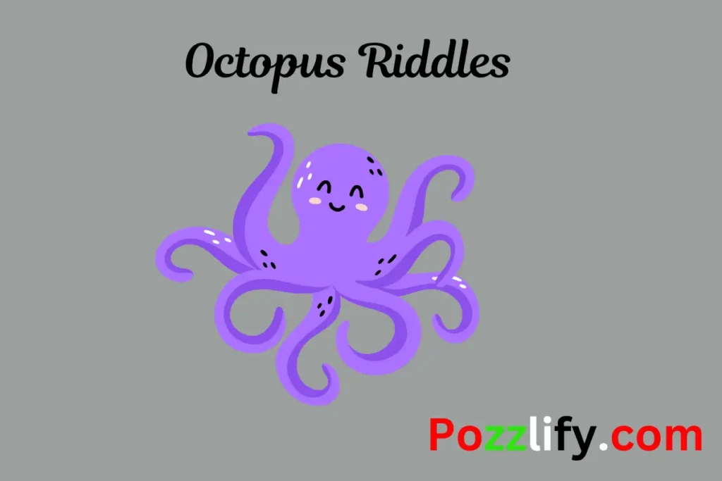 Octopus Riddles