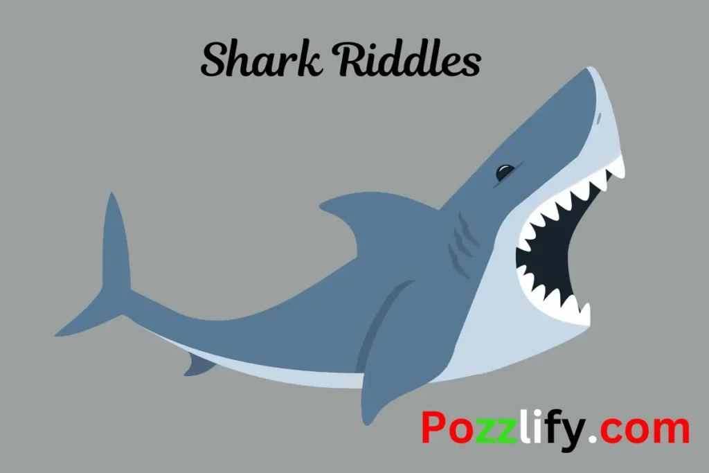 Shark Riddles