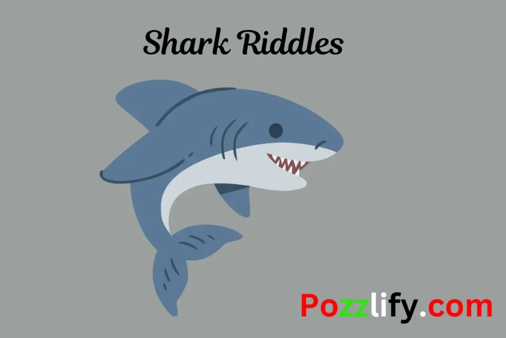 Shark Riddles