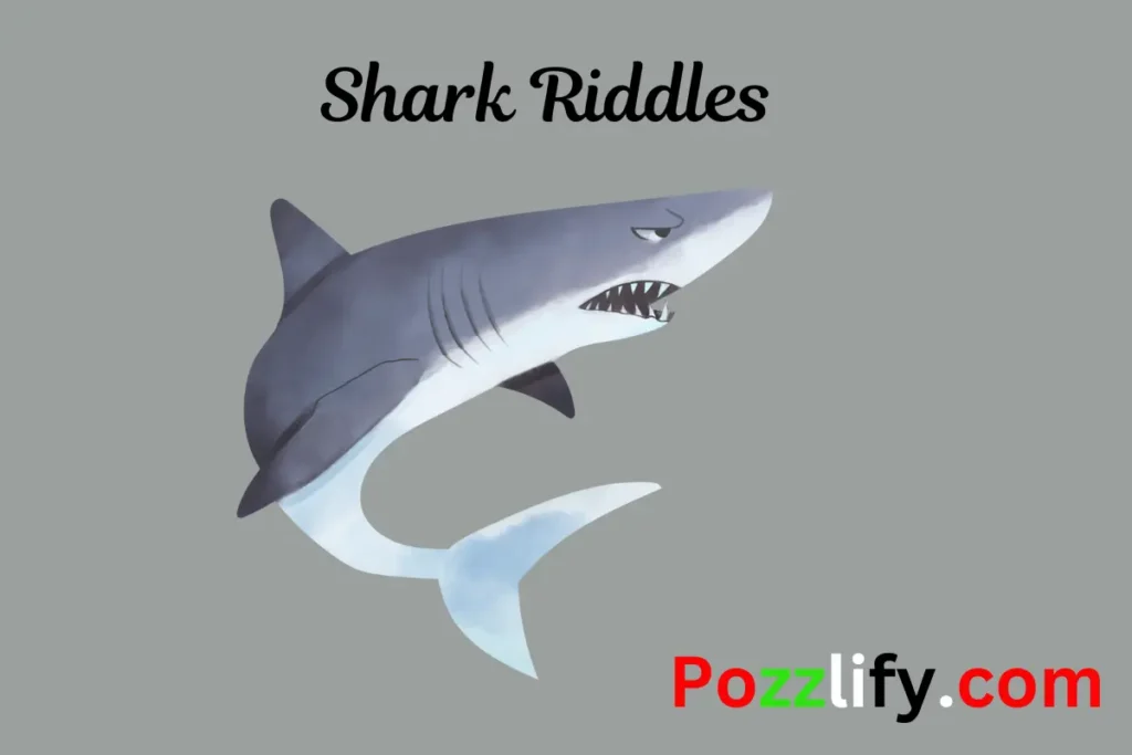 Shark Riddles