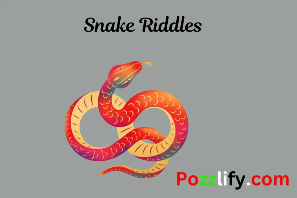 Snake Riddles