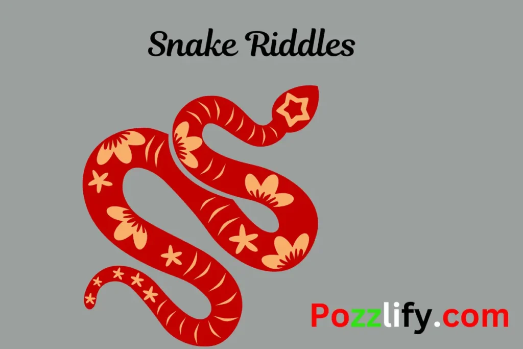 Snake Riddles