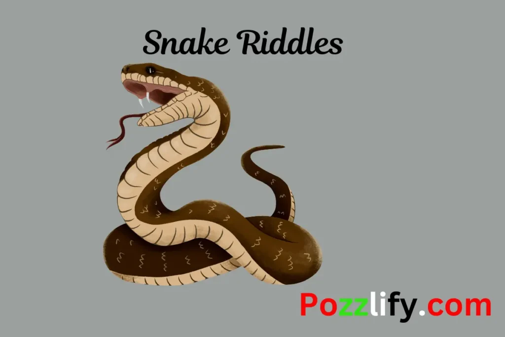 Snake Riddles