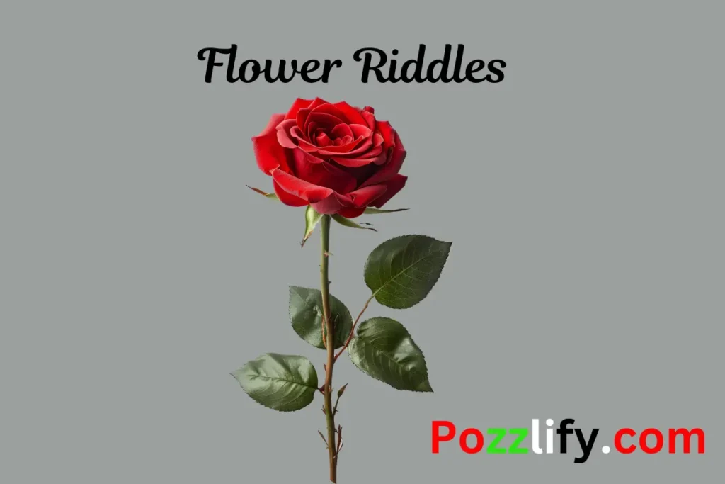 Flower Riddles