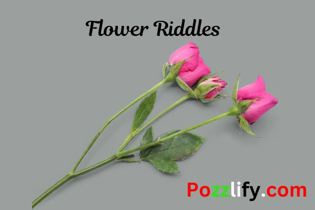 Flower Riddles