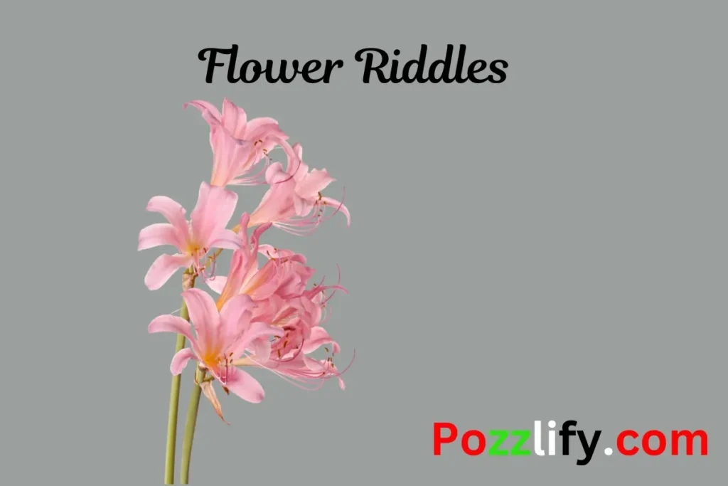 Flower Riddles