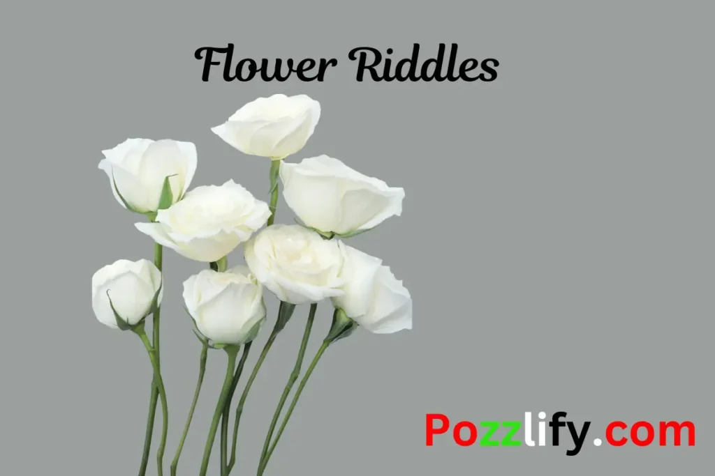 Flower Riddles