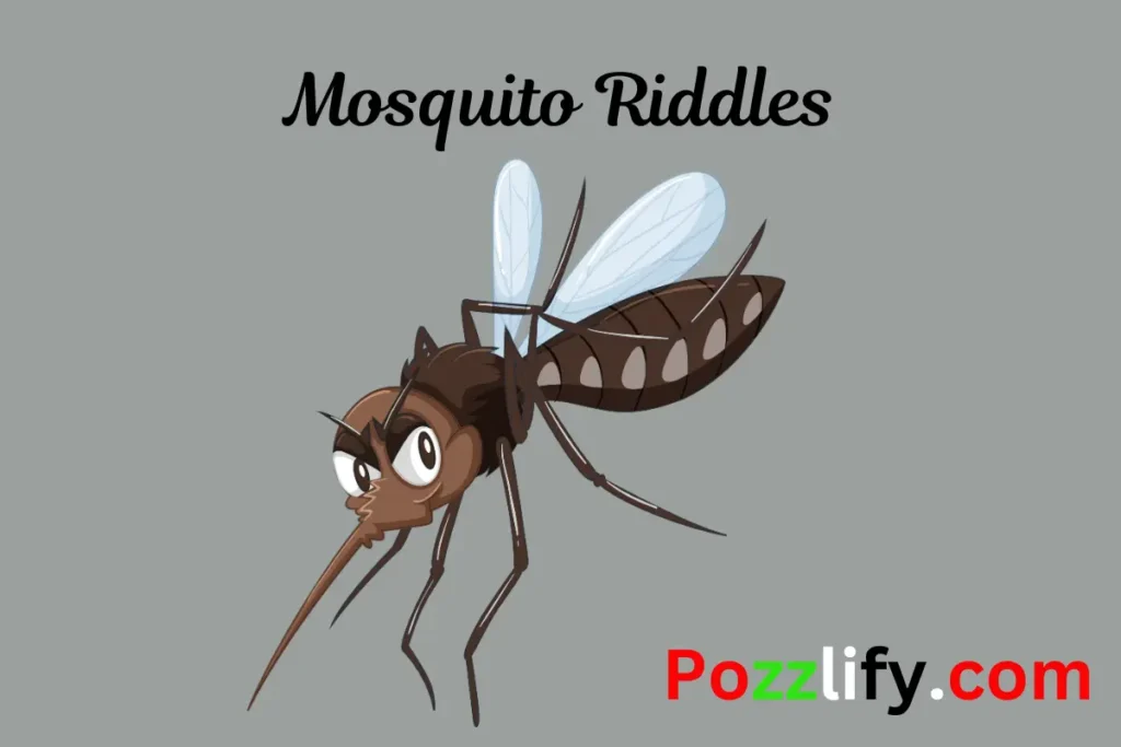 Mosquito Riddles