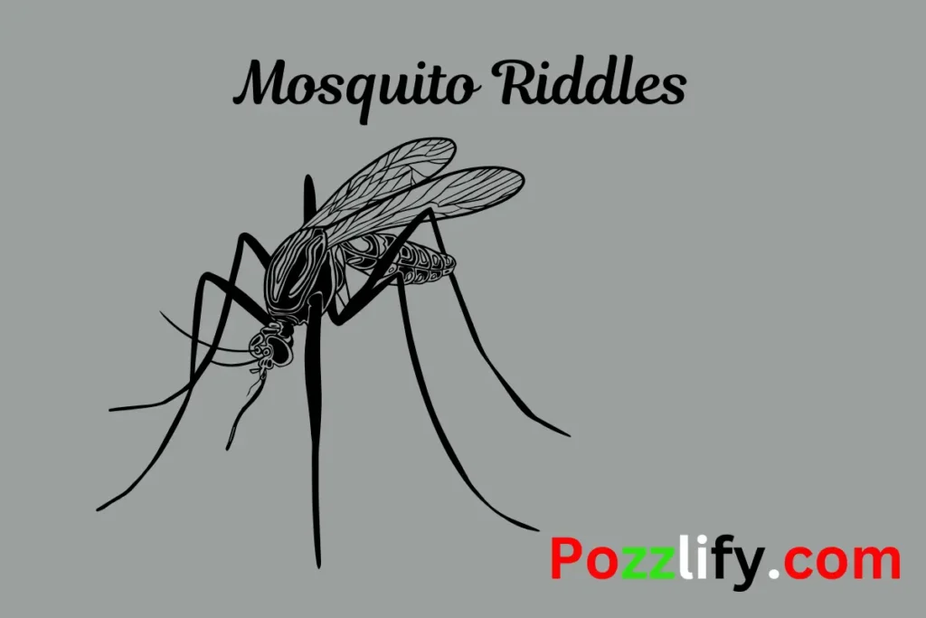 Mosquito Riddles