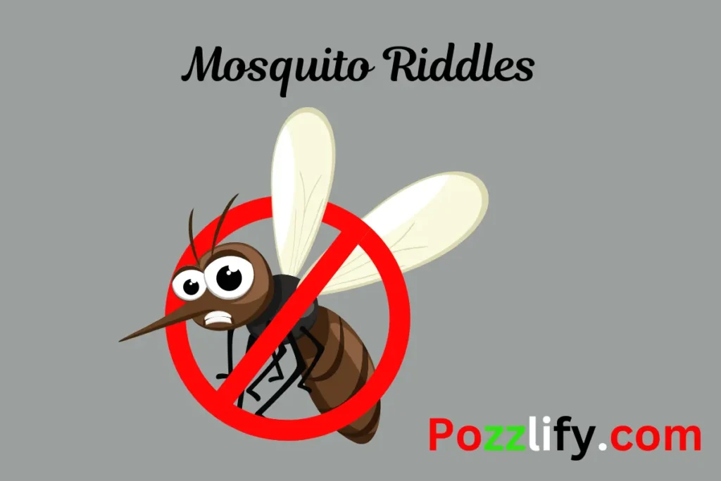 Mosquito Riddles