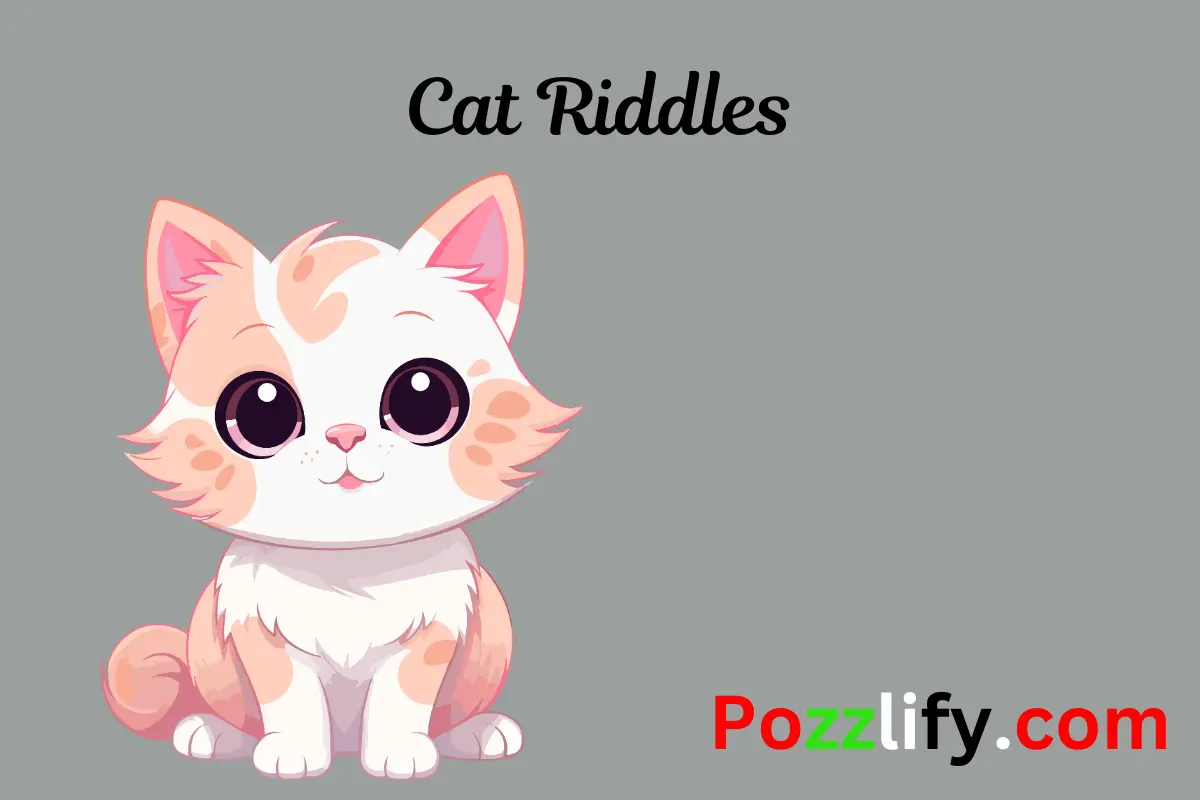 Cat Riddles