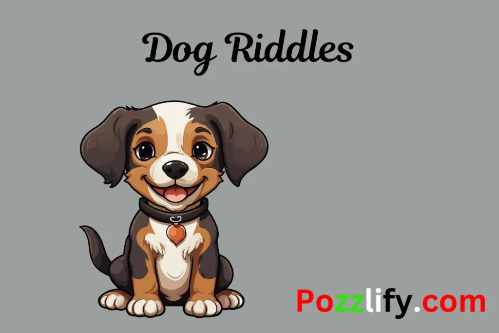 Dog Riddles