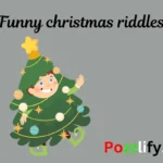 Funny christmas riddles