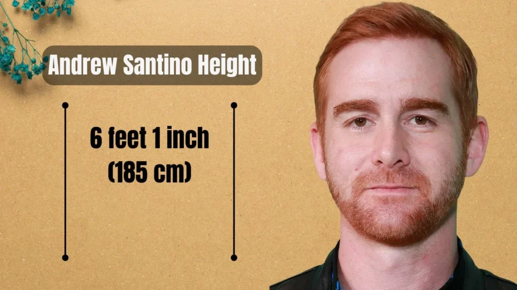 Andrew Santino Height