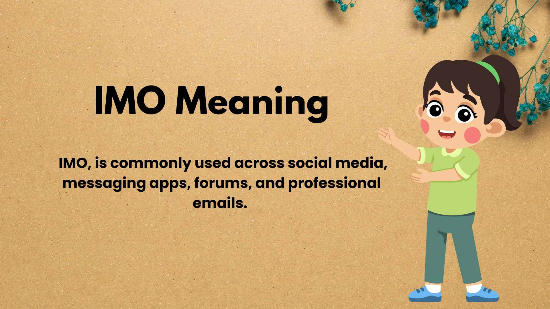IMO Meaning